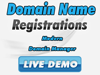 Low-cost domain name service providers